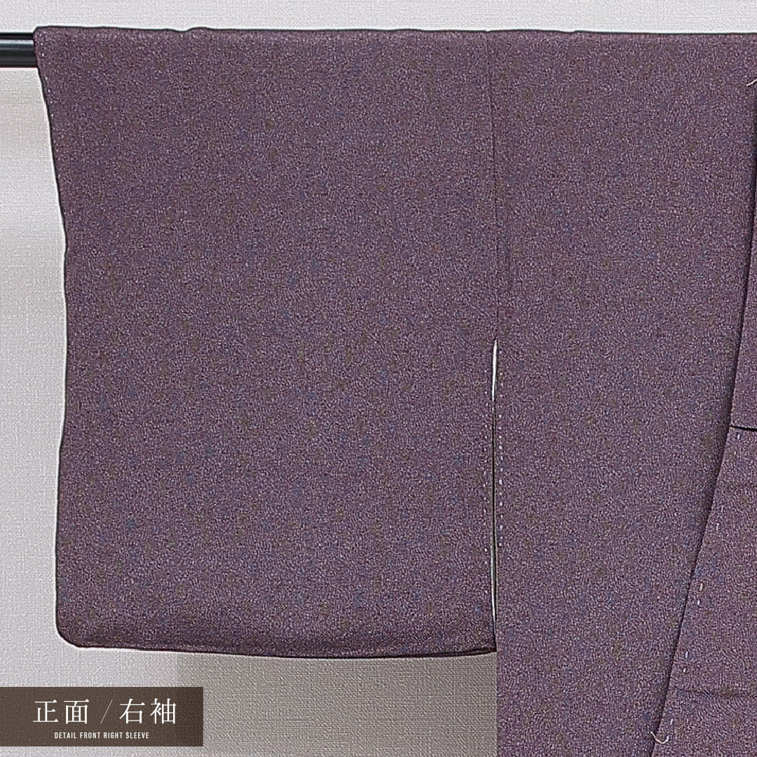 江戸小紋(鮫) 袷 身丈159cm 裄丈61cm 正絹 彫士 住田又光 染士 服部光擴 Sランク Mサイズ 広衿 一つ紋(丸に剣片喰) セミフォーマル 作家物 落款 紫系 1262-16067