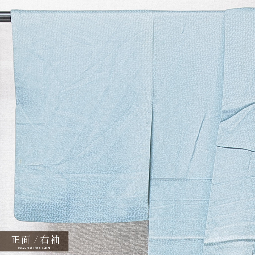 訪問着 袷 身丈161cm 裄丈62cm 正絹 Bランク 三つ紋 (五三桐) フォーマル 広衿 Lサイズ 流水 牡丹 水色系 RP 1217-15228