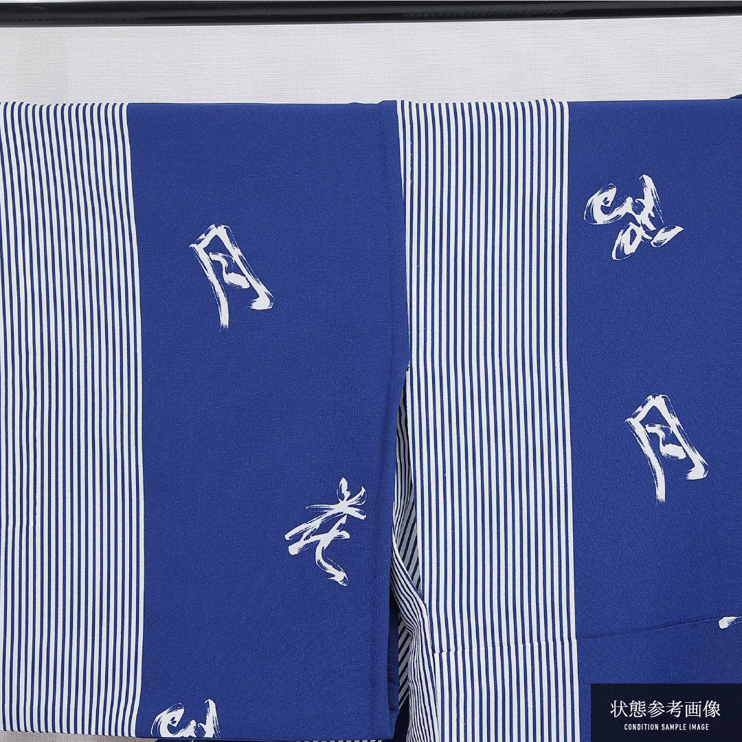 小紋 洗える着物 胴抜き 身丈165cm 裄丈68cm ポリエステル Dランク XLサイズ 広衿 インフォーマル 文字 縞 青系 1215-16322