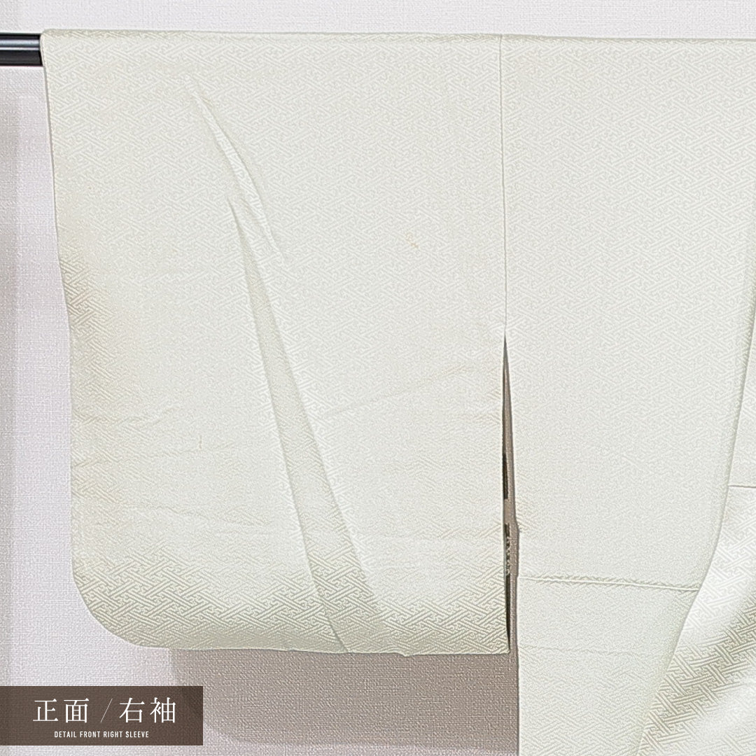 付下げ 袷 身丈160cm 裄丈63cm 正絹 Bランク 紋意匠 (紗彩形) インフォーマル 広衿 Lサイズ 辻が花 緑系 RP 1218-15729