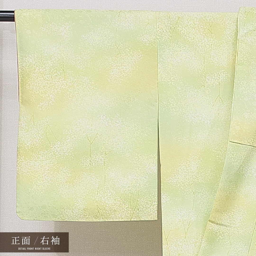 洗える着物 小紋 袷 身丈158cm 裄丈63cm ポリエステル Sランク インフォーマル 広衿 Mサイズ 植物柄 緑系 RP 1221-15841