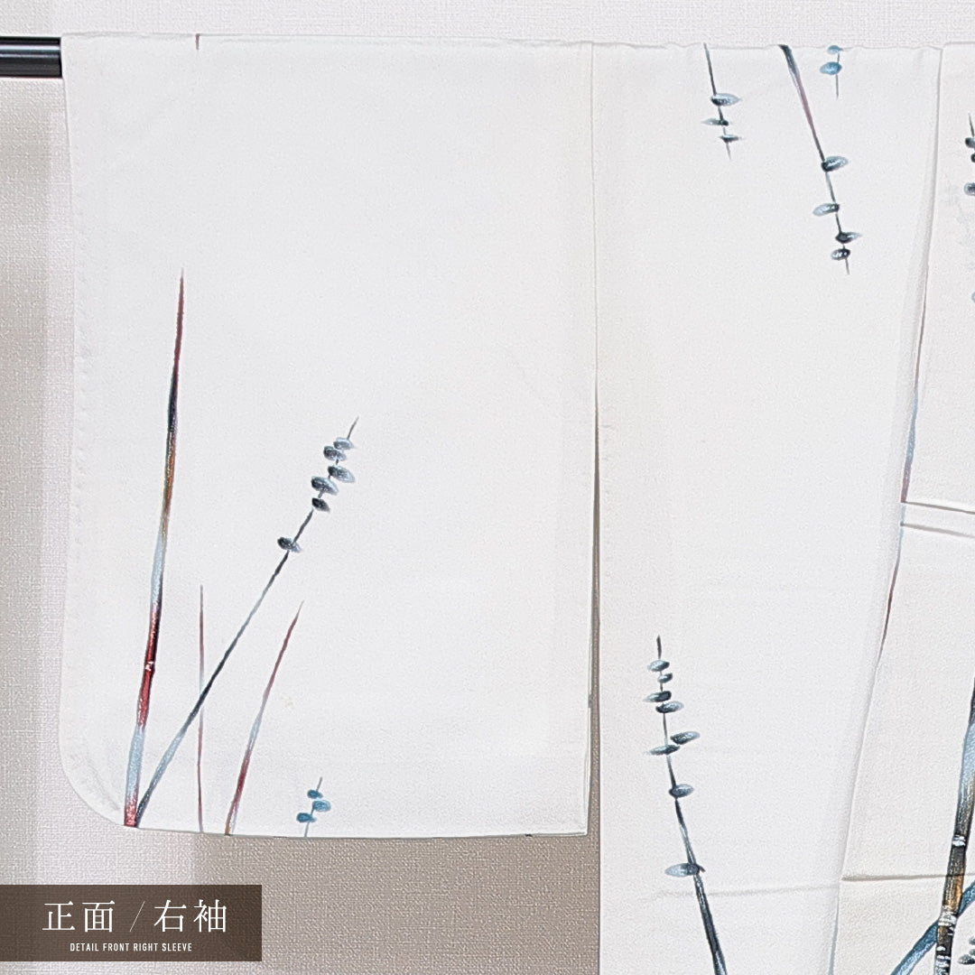 小紋 袷 身丈166cm 裄丈64cm 正絹 Cランク XLサイズ 広衿 インフォーマル 植物柄 ベージュ系 1215-15645