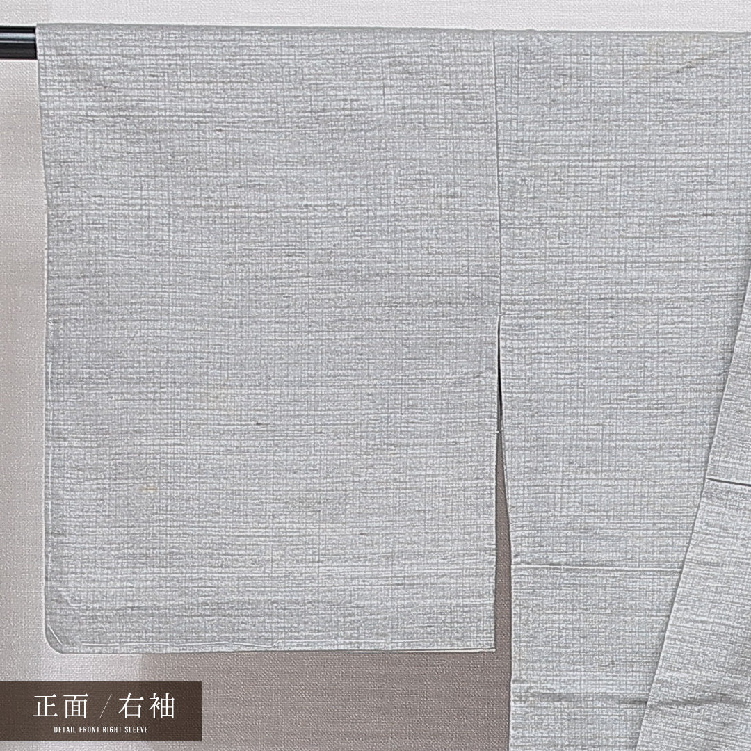 訪問着 単衣 身丈161cm 裄丈65cm 正絹 Sランク セミフォーマル 広衿 Lサイズ 落款 栗 素朴 芸術的 グレー系 RP 1217-15501