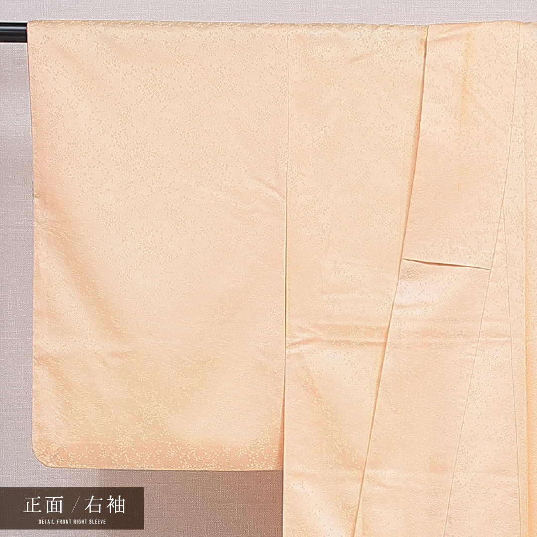 付下げ 洗える着物 袷 身丈162cm 裄丈64cm ポリエステル Cランク Lサイズ 広衿 インフォーマル 古典柄 橋 朱系 クリーム系 1261-16387