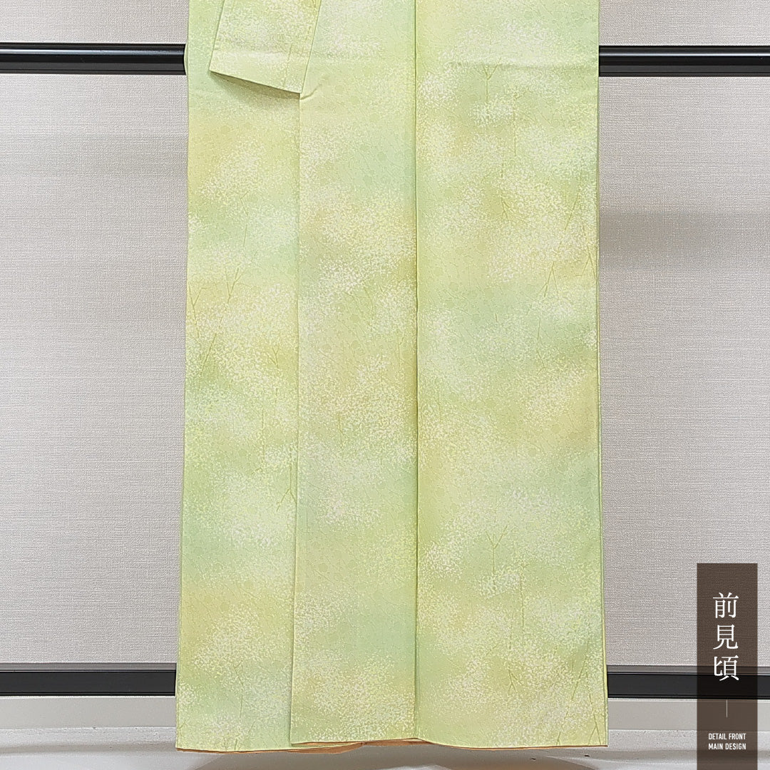 洗える着物 小紋 袷 身丈158cm 裄丈63cm ポリエステル Sランク インフォーマル 広衿 Mサイズ 植物柄 緑系 RP 1221-15841