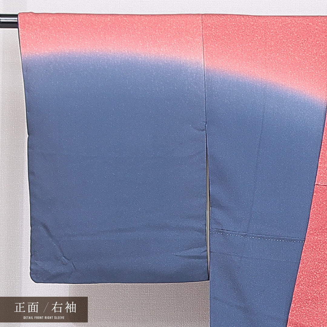 訪問着 袷 身丈169cm 裄丈64cm 正絹 Sランク セミフォーマル 広衿 XLサイズ 金駒刺繍 唐華 古典的 華やか 多色系 M4 1217-15096