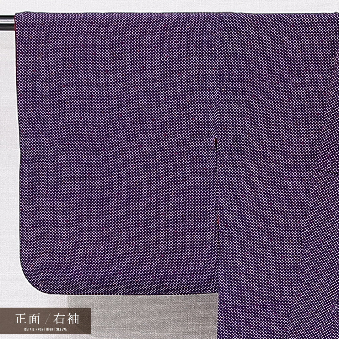 アンティーク 小紋 袷 身丈154cm 裄丈63cm 正絹 Bランク バチ衿 Sサイズ ドット 紺系 RP 1221-15213