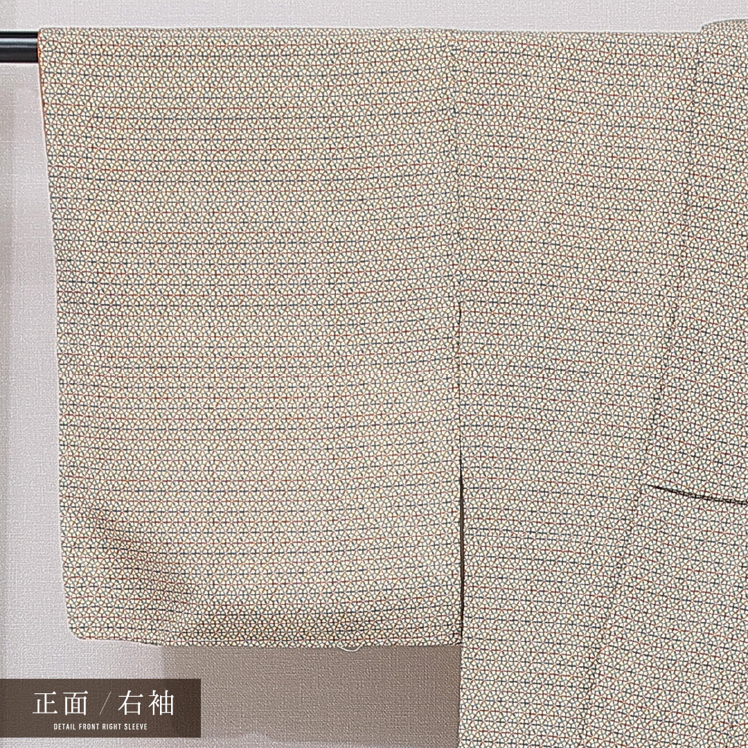 小紋 袷 身丈161cm 裄丈64cm 正絹 Sランク インフォーマル 広衿 Lサイズ 亀甲 多色系 RP 1221-15891