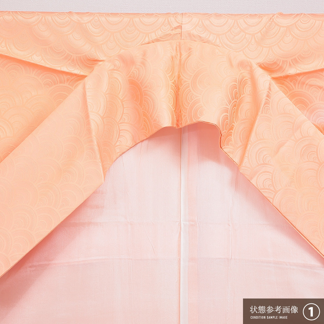 付下げ 洗える着物 袷 身丈162cm 裄丈66cm ポリエステル Bランク Lサイズ 広衿 インフォーマル 紋意匠 青海波 雲取り 朱系 1261-16315