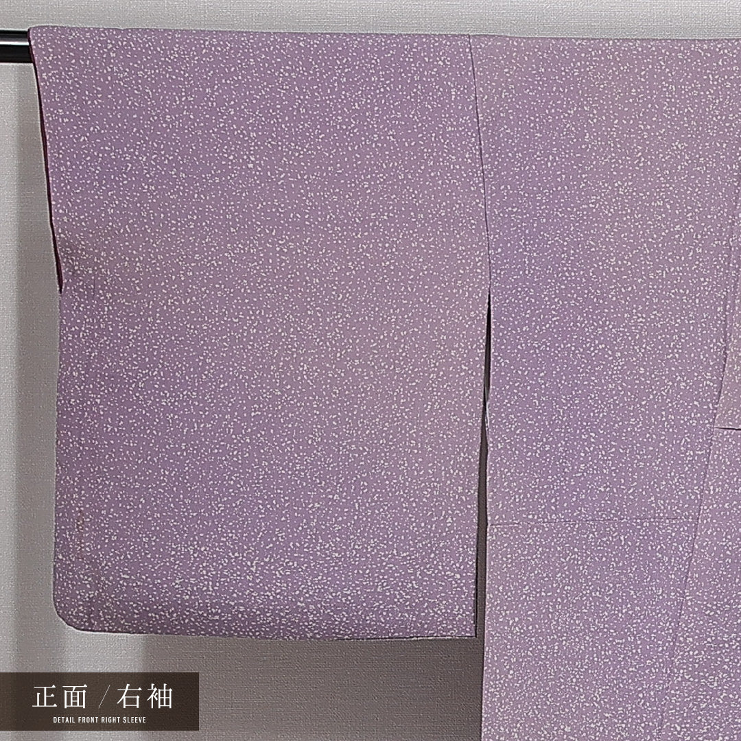 訪問着 袷 身丈157cm 裄丈64cm 正絹 Bランク セミフォーマル 広衿 Mサイズ 作家物 落款 たたき染め 創作柄 シック 気品 紫系 RP 1217-15010