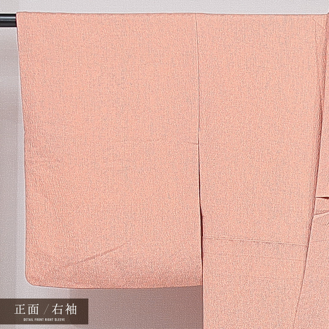 付下げ 袷 身丈162cm 裄丈64cm 正絹 Sランク インフォーマル 広衿 Lサイズ ふくれ織 植物柄 朱系 RP 1218-15360