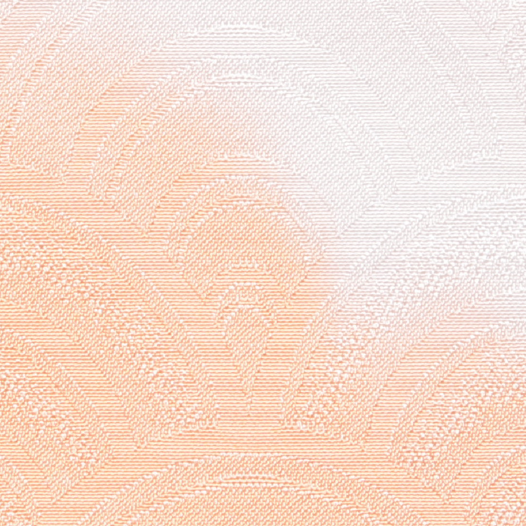 付下げ 洗える着物 袷 身丈162cm 裄丈66cm ポリエステル Bランク Lサイズ 広衿 インフォーマル 紋意匠 青海波 雲取り 朱系 1261-16315