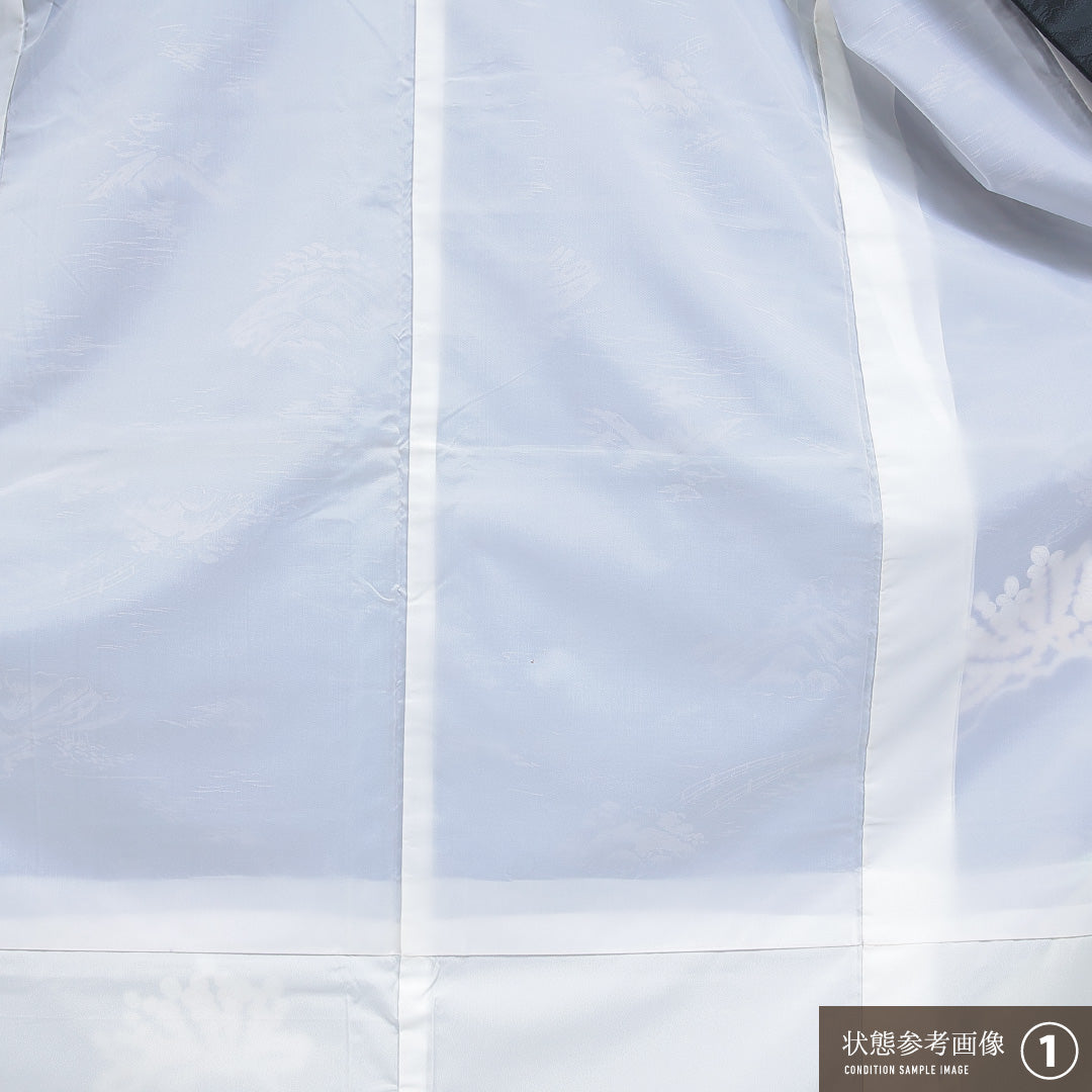 訪問着 洗える着物 袷 身丈164cm 裄丈63cm ポリエステル Sランク Lサイズ バチ衿 セミフォーマル 孔雀 金駒刺繍 黒系 1212-16287