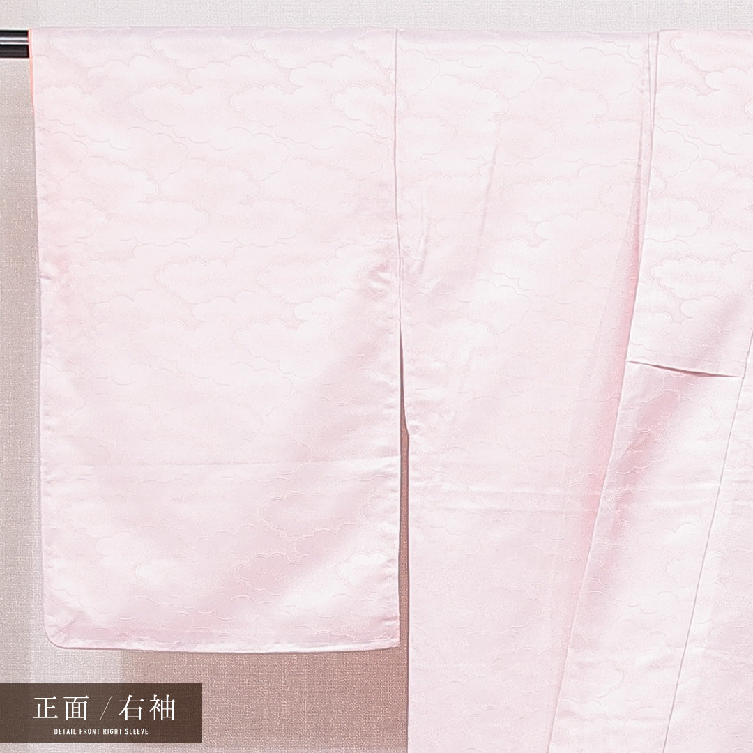 訪問着 袷 身丈163cm 裄丈65cm ポリエステル 洗える着物 Aランク セミフォーマル 広衿 Lサイズ 紋意匠 雲取り 古典柄 古典的 華やか ピンク系 HP 1217-15068