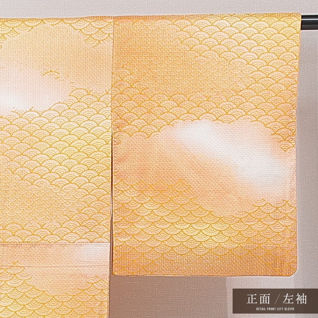 小紋 袷 身丈146cm 裄丈60cm 正絹 Sランク インフォーマル 広衿 XSサイズ 青海波 多色系 RP 1221-15197