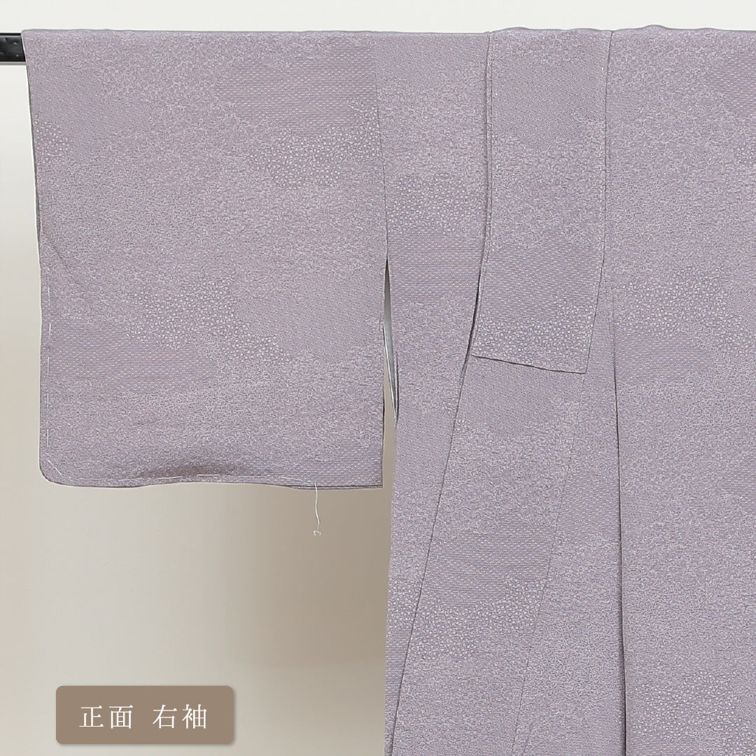 江戸小紋 (寄せ柄) 袷 身丈145cm 裄丈61cm 正絹 Bランク インフォーマル 広衿 XSサイズ 紫系 RP 1220-00901