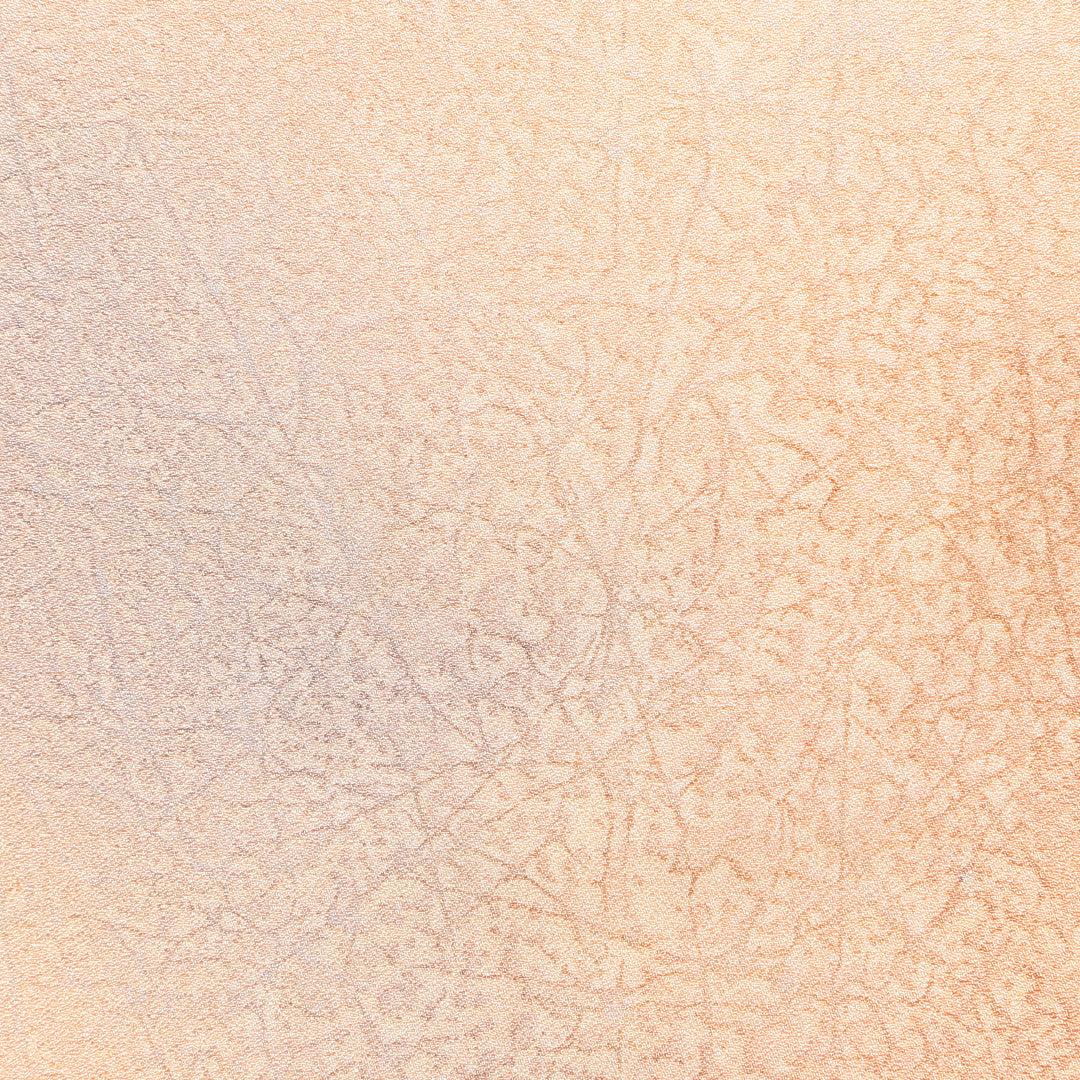 色無地 袷 身丈153cm 裄丈62cm 正絹 Bランク Sサイズ 広衿 インフォーマル ふくれ織 ぼかし染 朱系 1214-04910