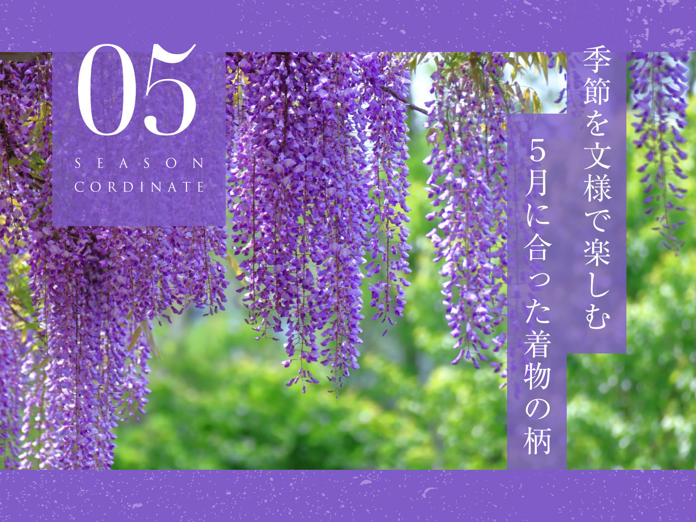 5月に合う着物・帯の文様