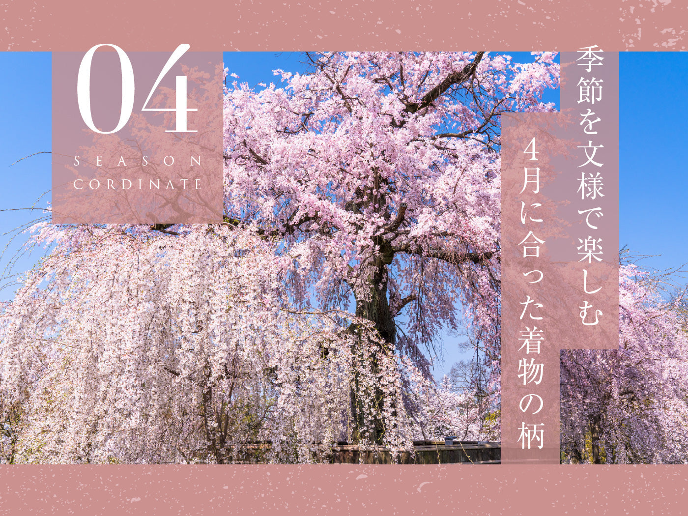 ４月に合った着物・帯の柄