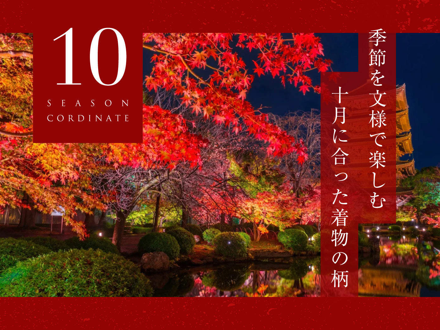 10月に合う着物・帯の柄