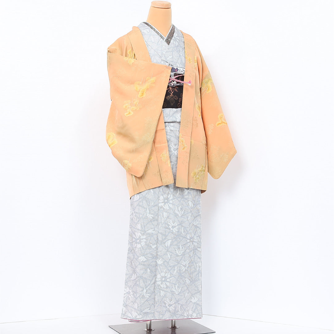 羽織 袷 身丈79cm 裄丈64cm 正絹 Aランク カジュアル Mサイズ ぼかし染 紐あり 植物柄 樹木 クリーム系 HP 1232-12098