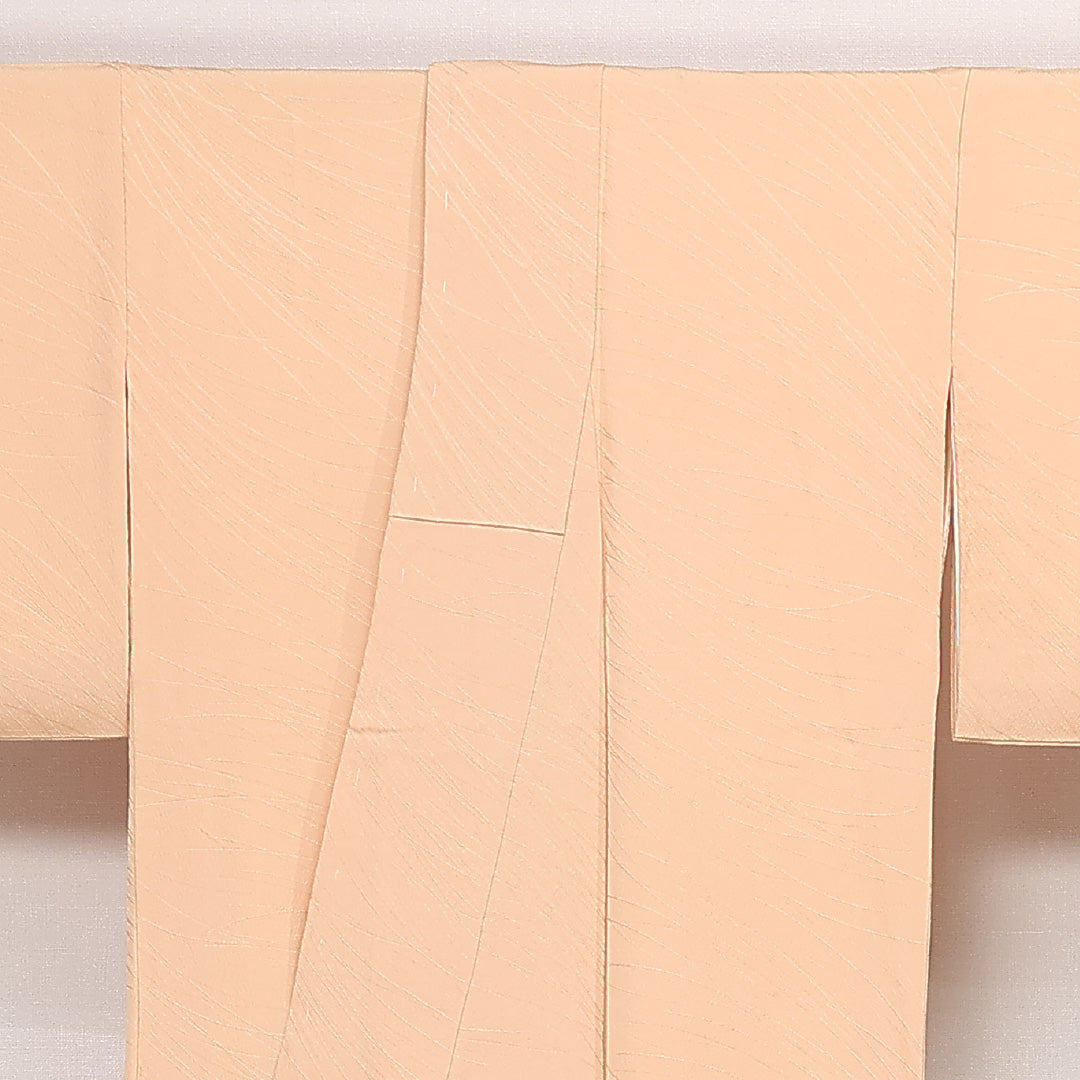 色無地 袷 身丈160cm 裄丈64cm 正絹 Sランク 一つ紋 (蔦) 紋意匠 (芝草) セミフォーマル 広衿 Lサイズ ベージュ系 RP 1219-13330