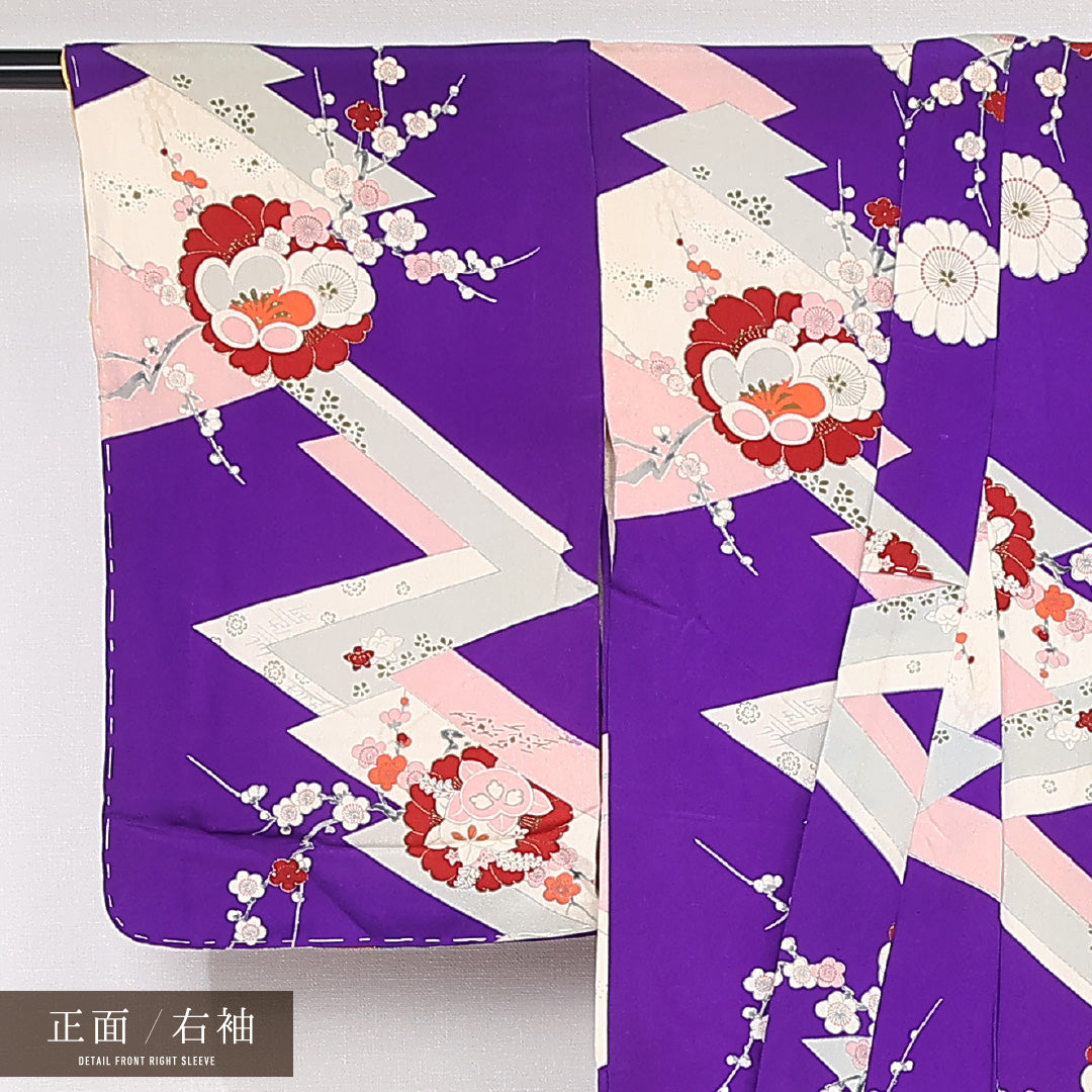 アンティーク 小紋 袷 身丈148cm 裄丈61cm 正絹 Aランク バチ衿 XSサイズ 吉祥文様 紫系 RP 1221-13224