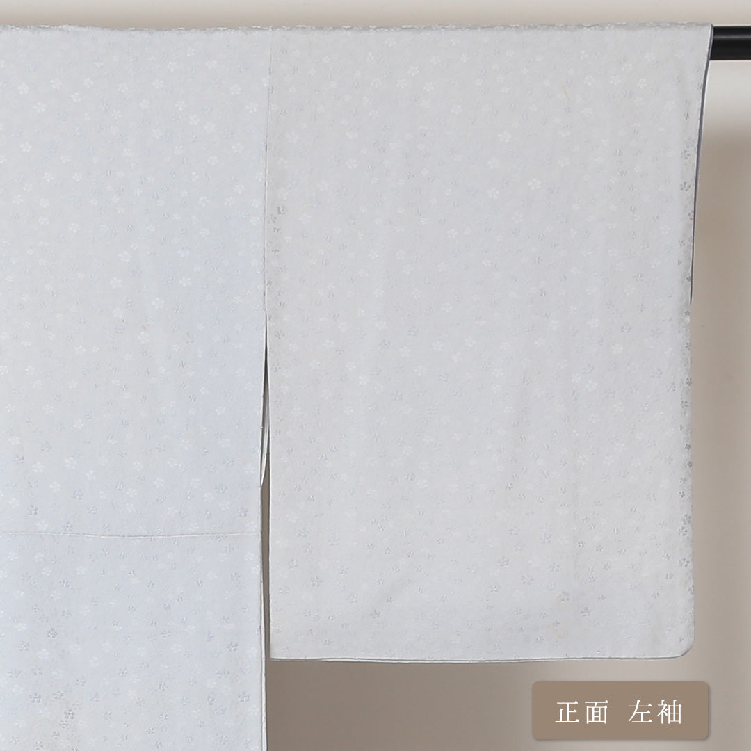 訪問着 袷 身丈157cm 裄丈64cm 正絹 Bランク 一つ紋 (丸に左三階松) セミフォーマル 広衿 Mサイズ 龍 グレー系 RP 1217-04367
