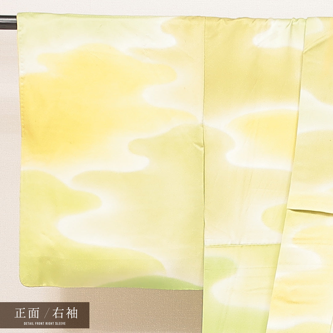 小紋 1221-17010 右袖