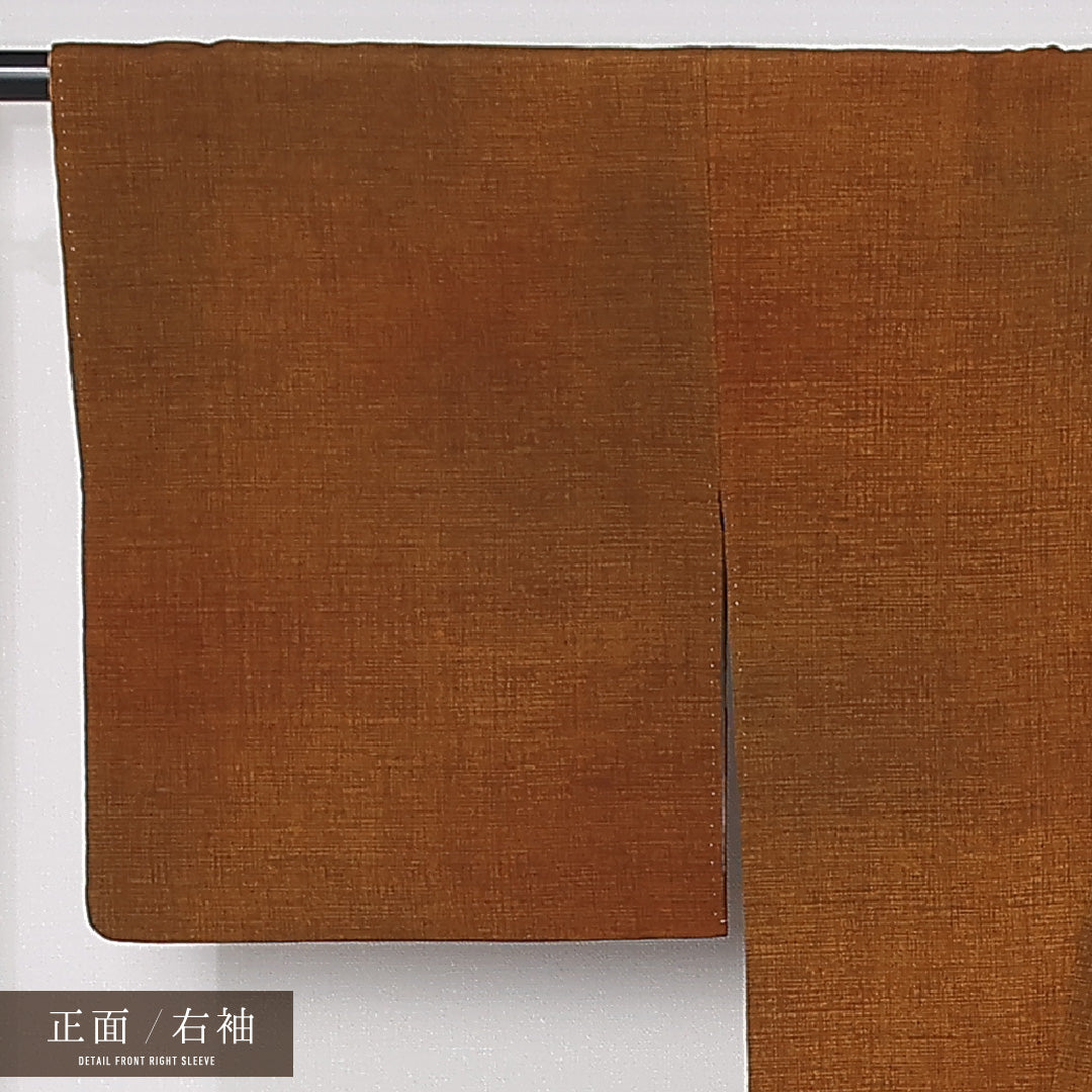 色無地 袷 身丈150cm 裄丈63cm 正絹 Sランク インフォーマル 広衿 Sサイズ 小紋 ぼかし染 無地 茶系 RP 1219-12476