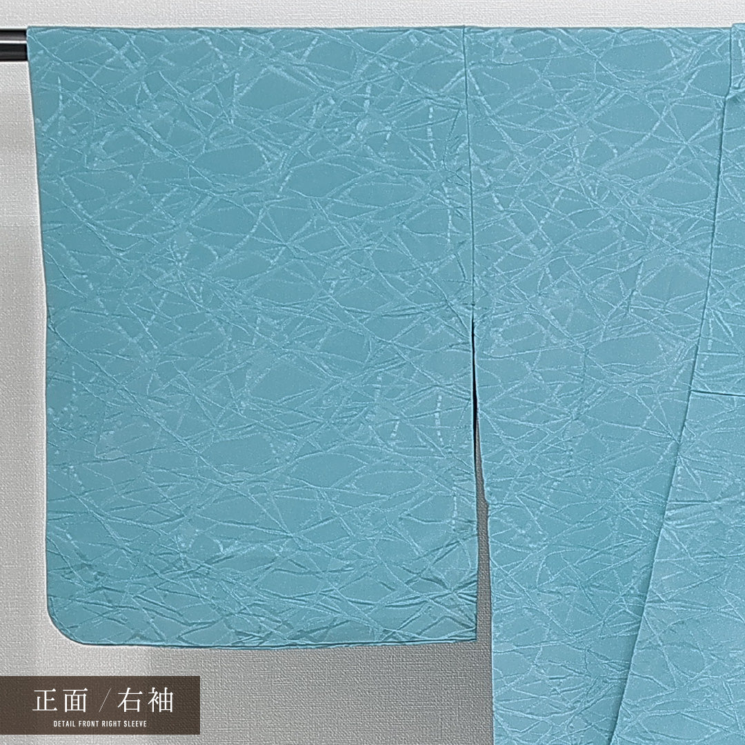 色無地 単衣 身丈162cm 裄丈65cm 正絹 Sランク Lサイズ 広衿 一つ紋（丸に片喰） セミフォーマル 紋意匠 抽象柄 織り出し 青系 1214-14769