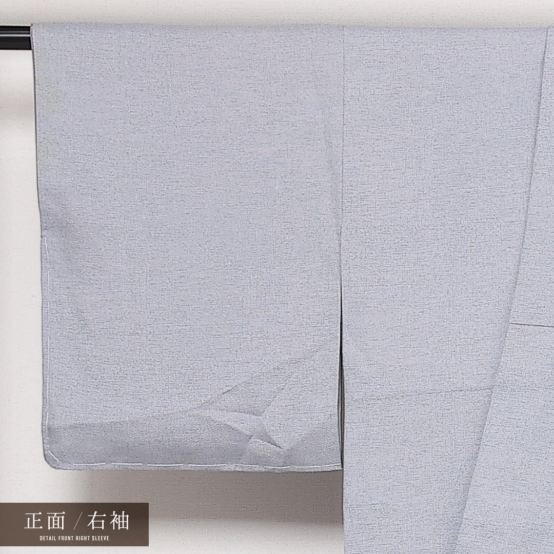 訪問着 袷 身丈150cm 裄丈61cm Sランク 正絹 広衿 Sサイズ セミフォーマル 蘇州刺繍 菊 シック 気品 グレー系 1212-13598
