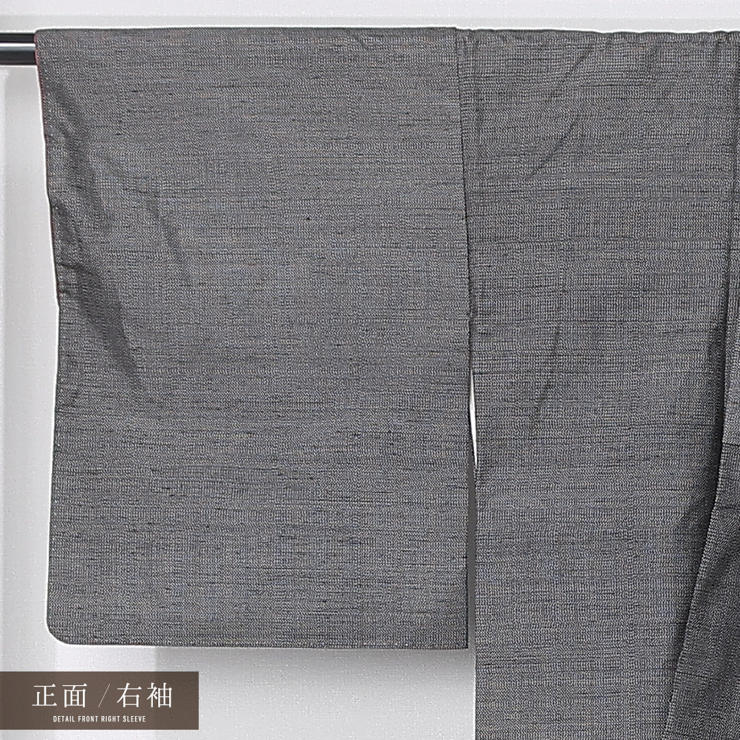 訪問着 袷 身丈161cm 裄丈63cm 正絹 Sランク セミフォーマル 広衿 Lサイズ 植物柄 黒系 M4 1217-12409