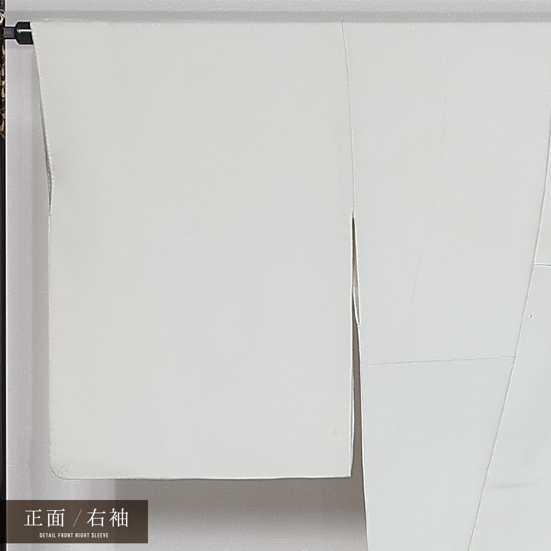 訪問着 袷 身丈158cm 裄丈68cm 正絹 Cランク 一つ紋 (丸に柏) セミフォーマル 広衿 Mサイズ ぼかし染 御所車 白系 LP 1217-11924