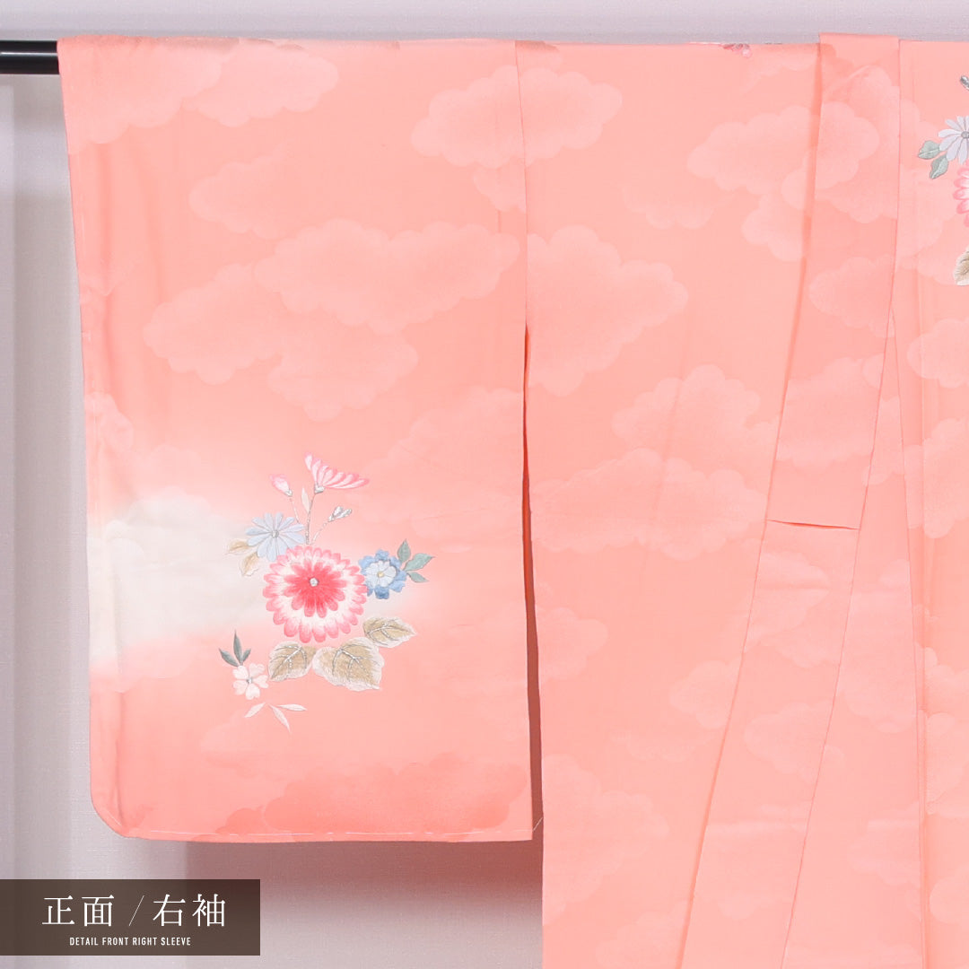 訪問着 袷 身丈161cm 裄丈67cm 正絹 Sランク 一つ紋 (中陰蔦) セミフォーマル バチ衿 Lサイズ 漆糸 刺繍 花車 ピンク系 M4 1217-11535