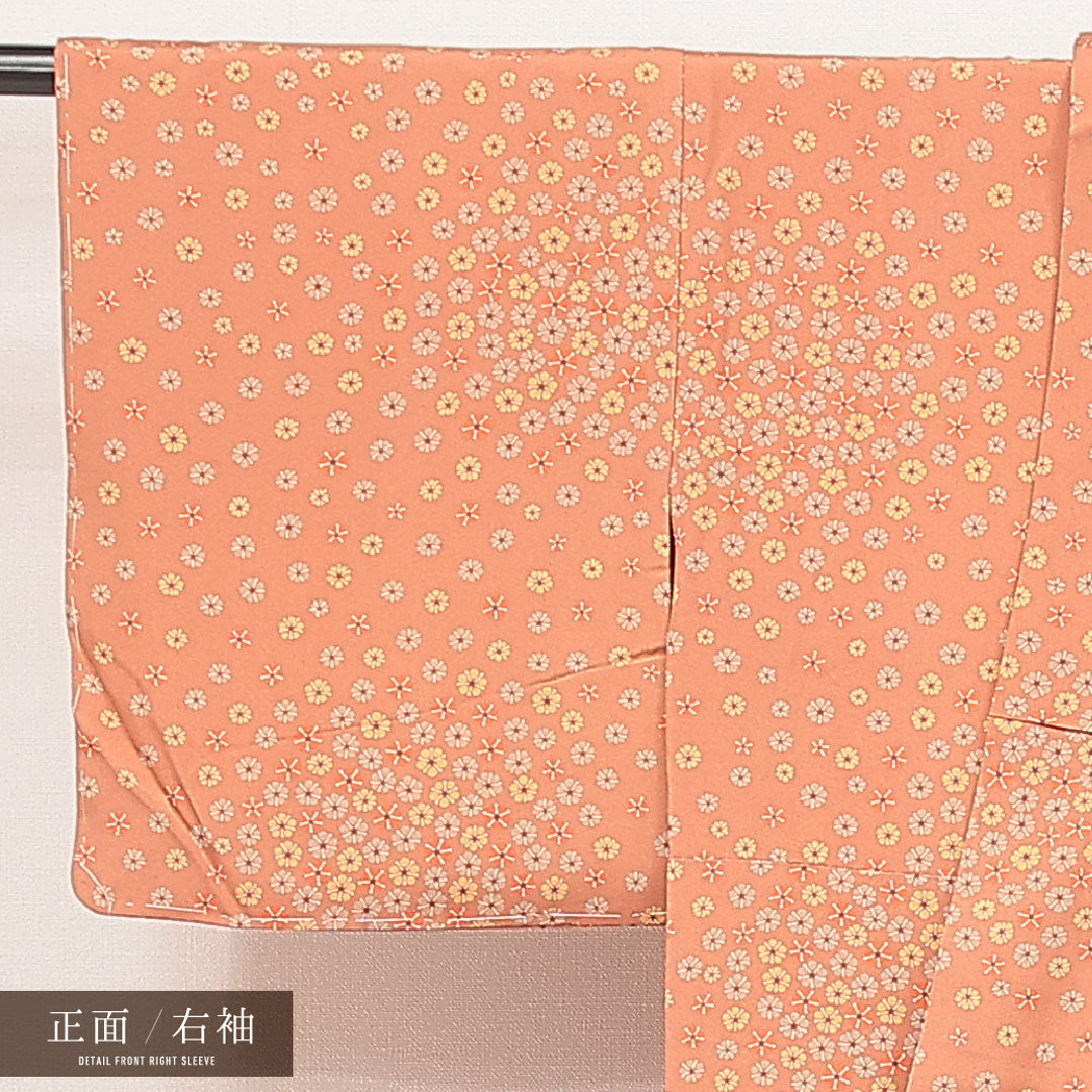 小紋 1221-17003 右袖