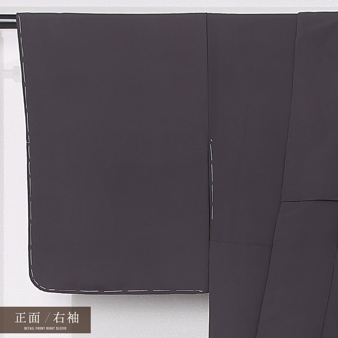 訪問着 袷 身丈162cm 裄丈65cm 正絹 Sランク 三つ紋 (下り藤) フォーマル 広衿 Lサイズ 遠山 グレー系 RP 1217-12436