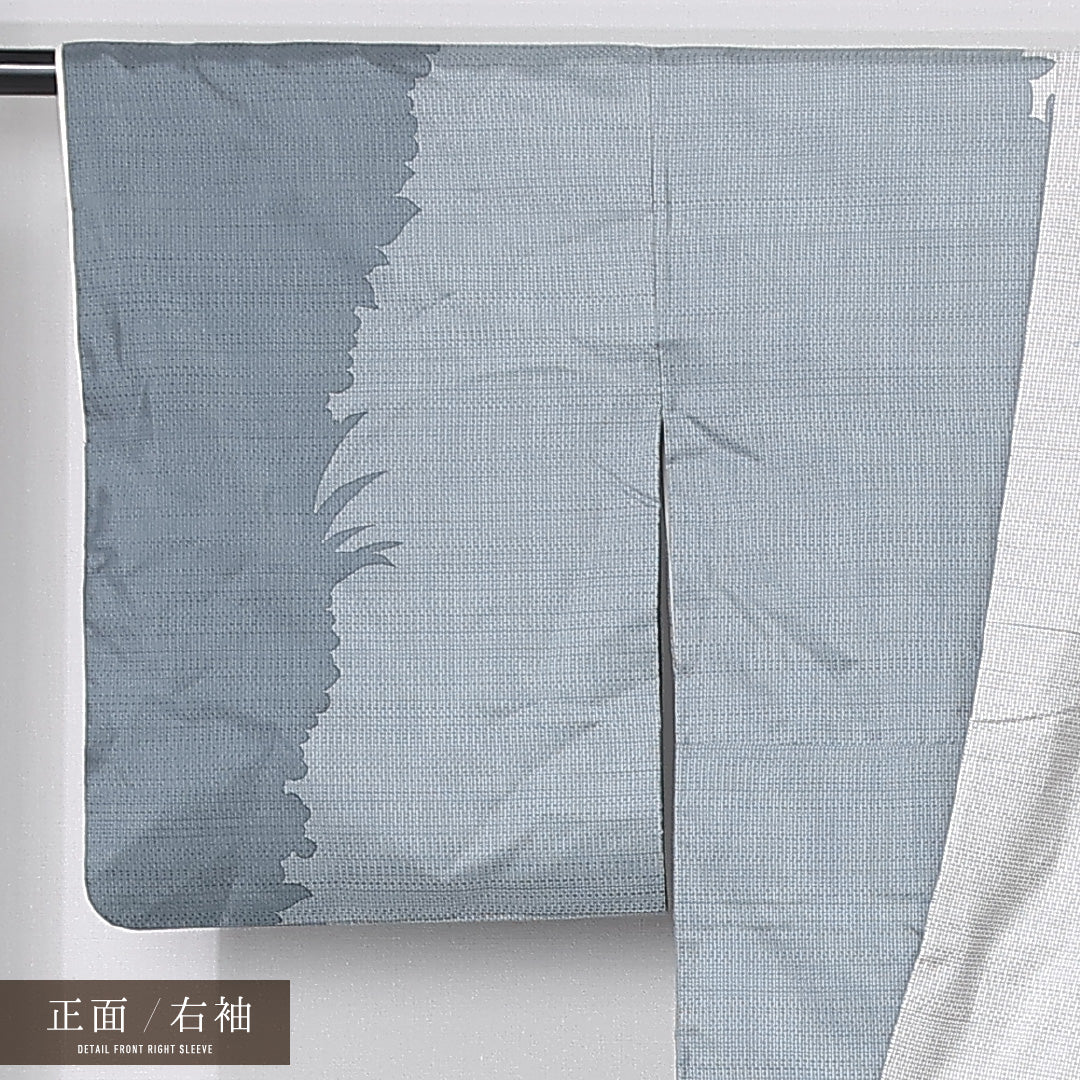 訪問着 (大島紬) 袷 身丈156cm 裄丈65cm 正絹 Sランク インフォーマル 広衿 Mサイズ 染め紬 作家物 落款 水芭蕉 白系 M4 1217-12408