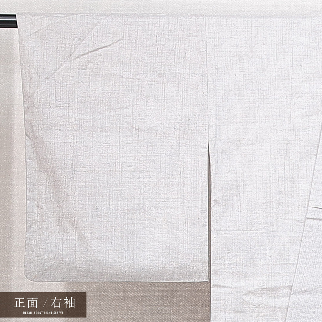 付下げ 袷 身丈163cm 裄丈62cm 正絹 Aランク インフォーマル バチ衿 Lサイズ みかん グレー系 PO 1218-14882
