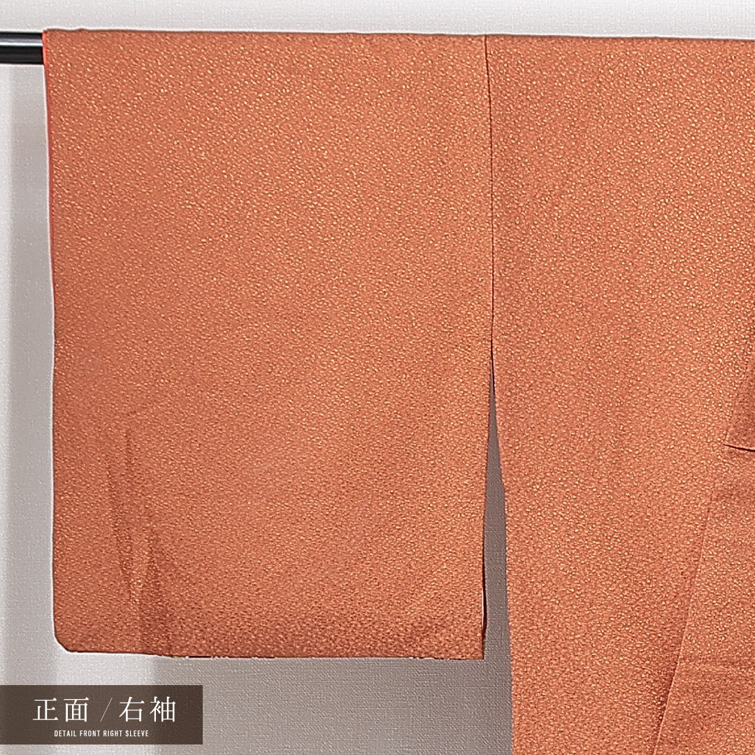 訪問着 洗える着物 袷 身丈159cm 裄丈65cm ポリエステル Sランク Mサイズ 広衿 セミフォーマル 梅 桜 茶系 1212-14980