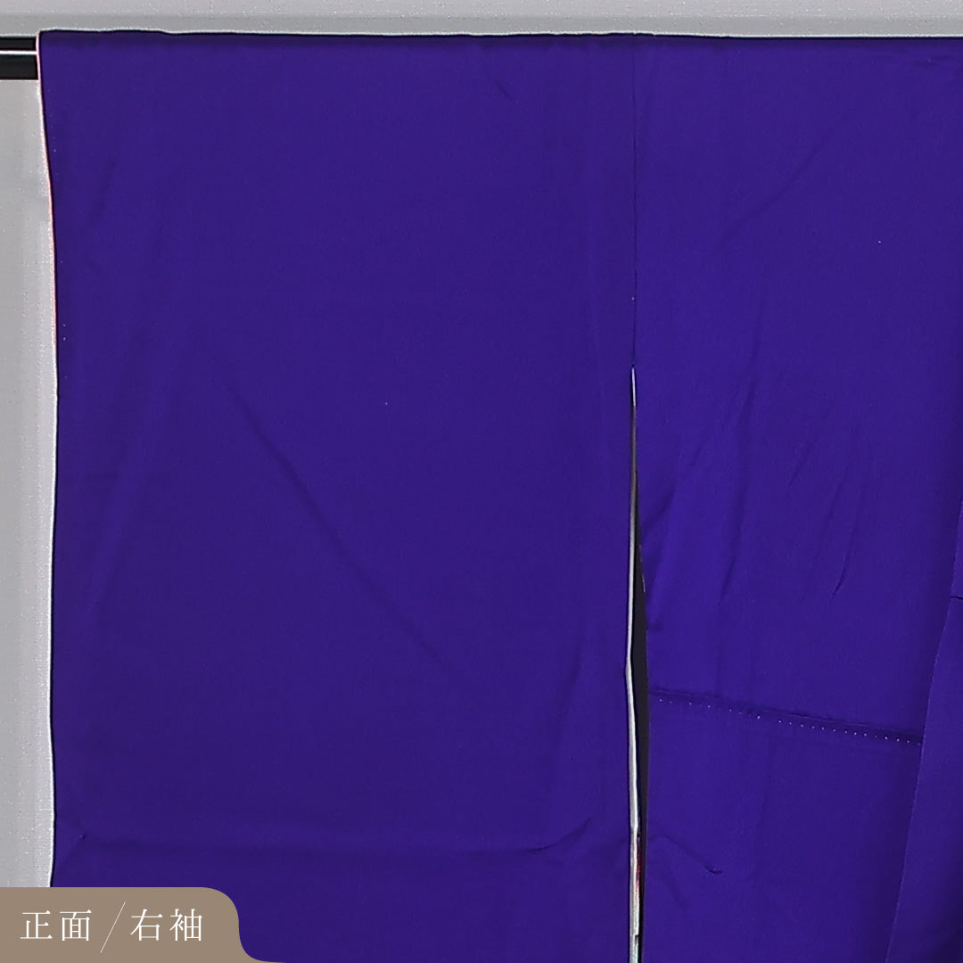 振袖 身丈167cm 裄丈68.5cm Sランク 袷 正絹 M 広衿 モダン ぼかし 蝶 吉祥文様 青系 1213-F0431