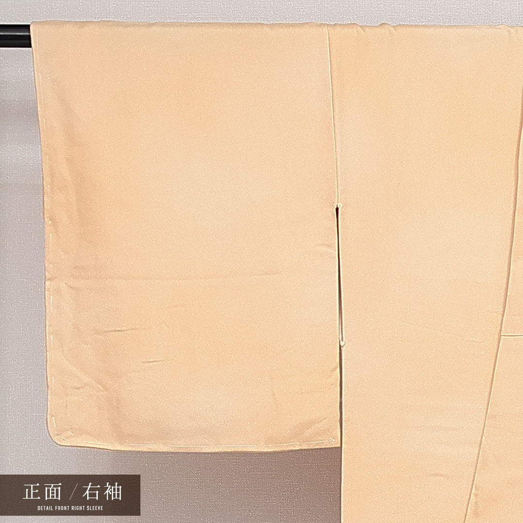 付下げ 袷 身丈167cm 裄丈64cm 正絹 Aランク インフォーマル 広衿 XLサイズ しつけ糸 流水 芝草 クリーム系 RP 1218-14407