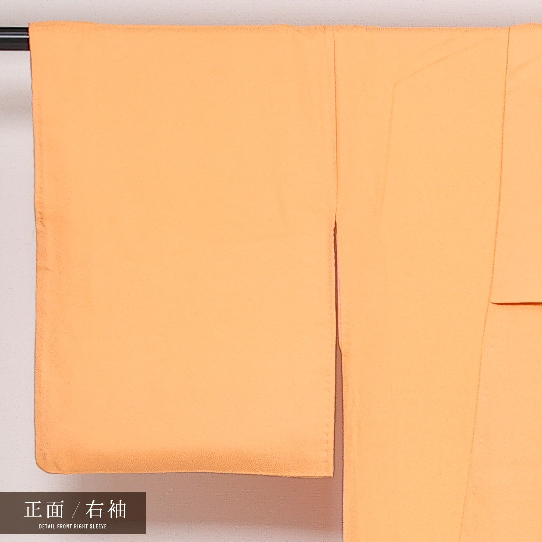 訪問着 袷 身丈169cm 裄丈62cm 正絹 Sランク セミフォーマル 広衿 XLサイズ 上品 シンプル 朱系 HP 1217-13569