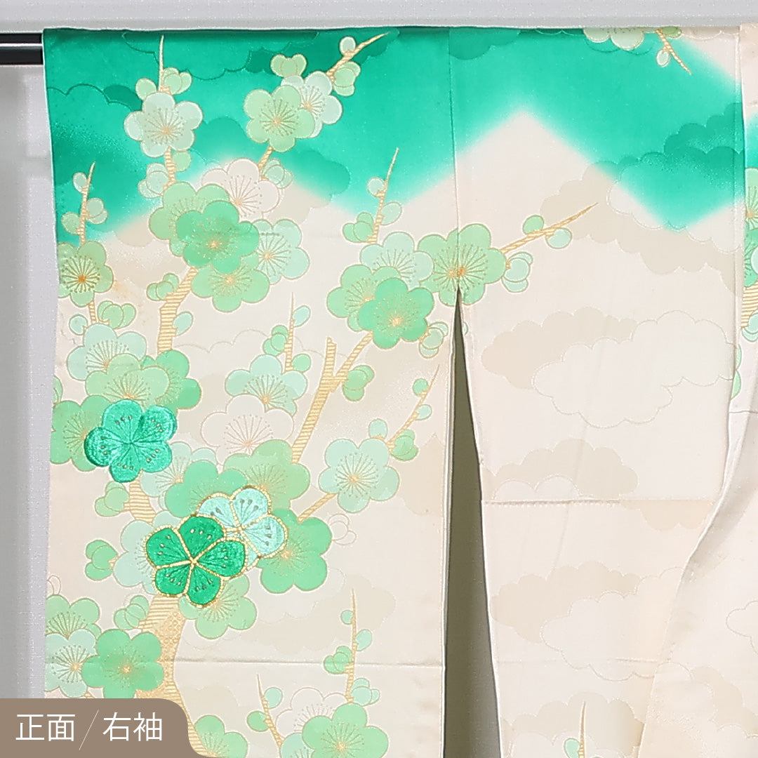 振袖 身丈149cm 裄丈65cm Cランク 正絹 袷 広衿 XS 金駒刺繍 梅 フォーマル 独創的 爽やか クリーム系 緑系 1213-F0464