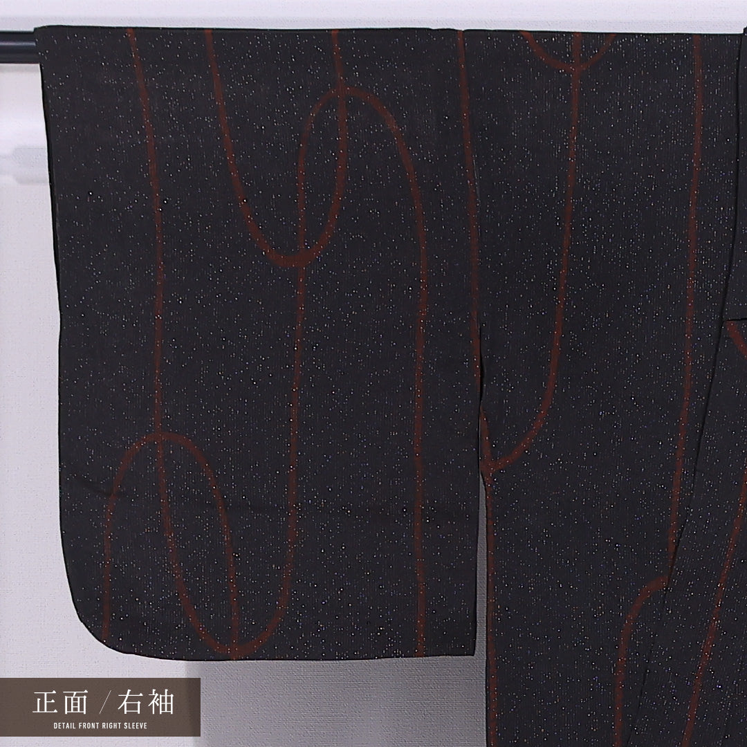 夏物 小紋 二重紗 身丈150cm 裄丈62cm 正絹 Sランク インフォーマル バチ衿 Sサイズ 創作柄 黒系 RP 1221-11763