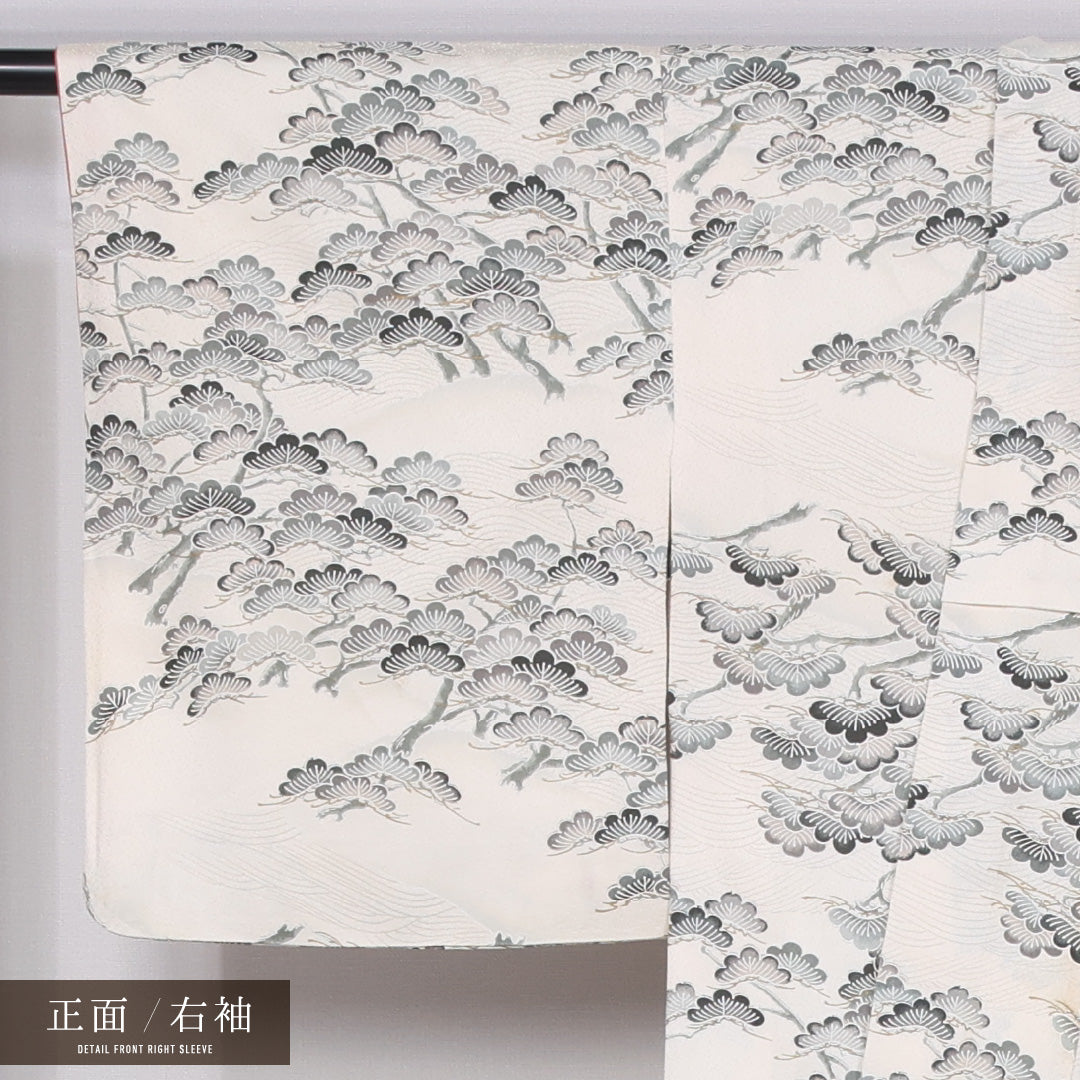 小紋 袷 身丈154cm 裄丈63cm 正絹 Bランク インフォーマル 広衿 Sサイズ 笠松 白系 RP 1221-11489