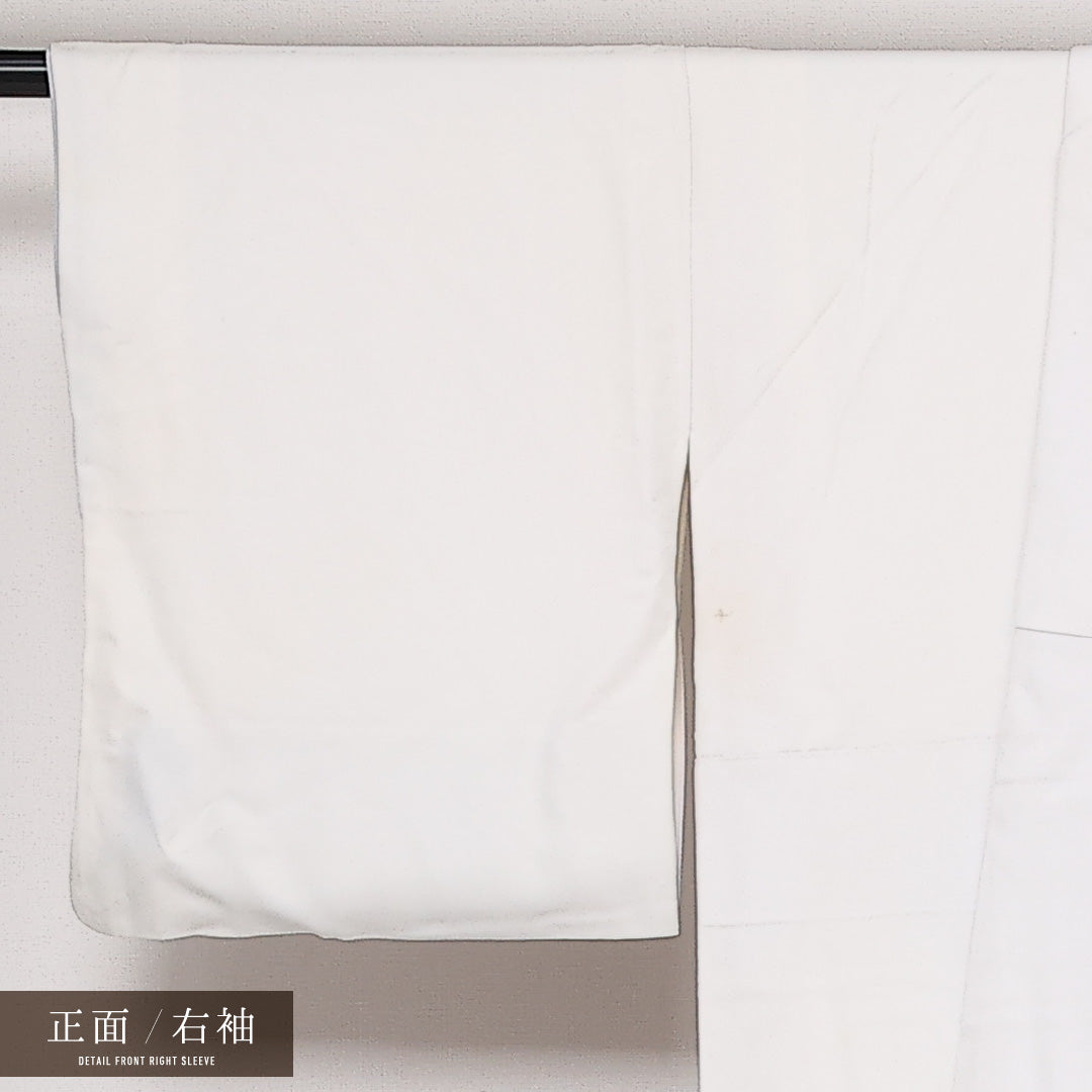 訪問着 袷 身丈147cm 裄丈63cm Sランク 正絹 広衿 XSサイズ セミフォーマル 扇 菊 古典的 気品 白系 1212-13596