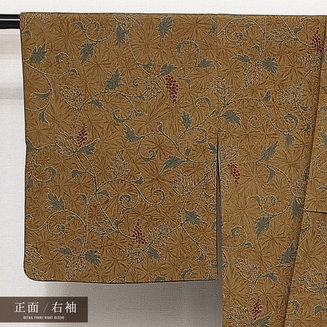 洗える着物 小紋 袷 身丈156cm 裄丈63cm ポリエステル Sランク インフォーマル 広衿 Mサイズ 葡萄 茶系 RP 1221-14029