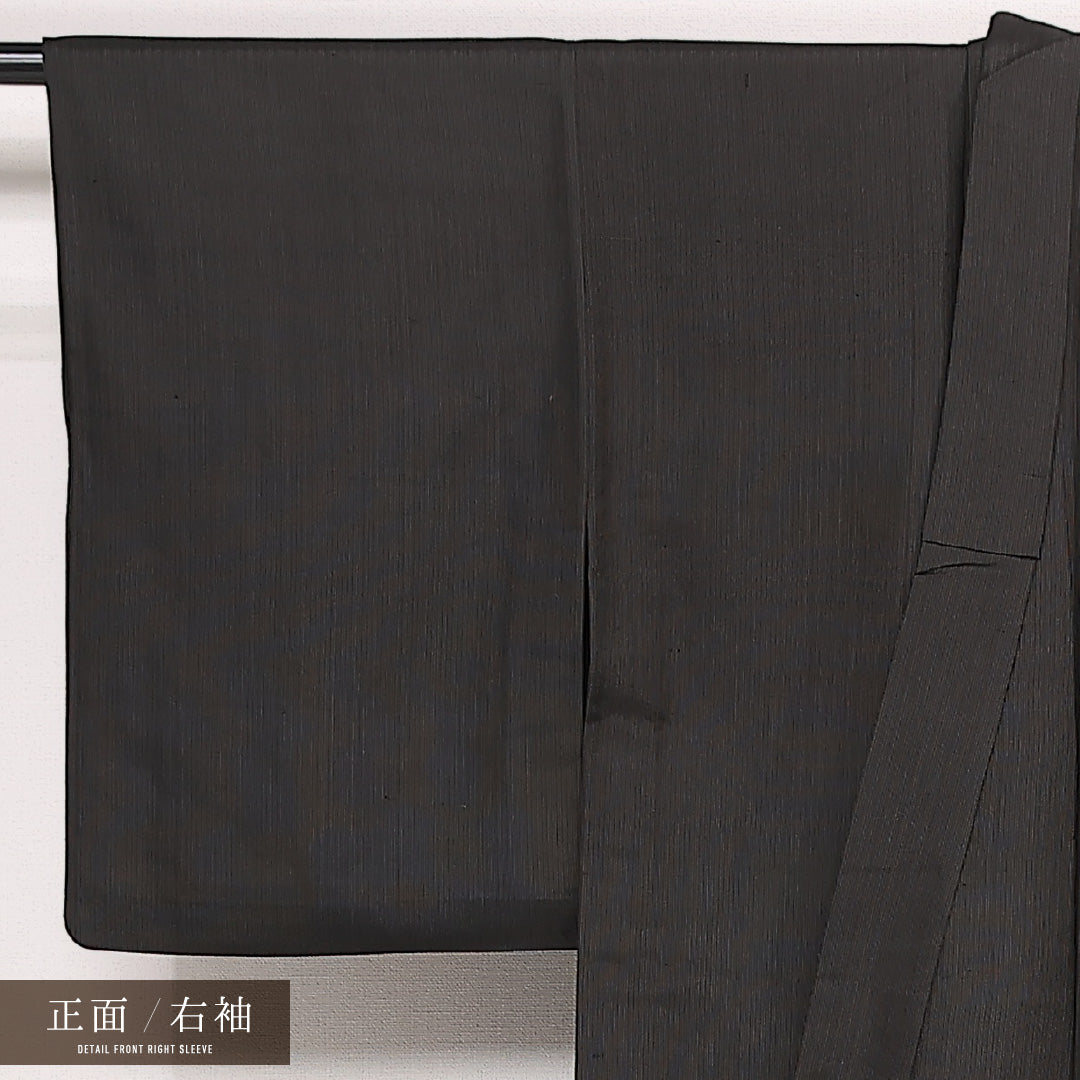 夏物 お召 夏物 身丈151cm 裄丈61cm 正絹 Aランク インフォーマル バチ衿 Sサイズ 無地 黒系 RP 1222-13345