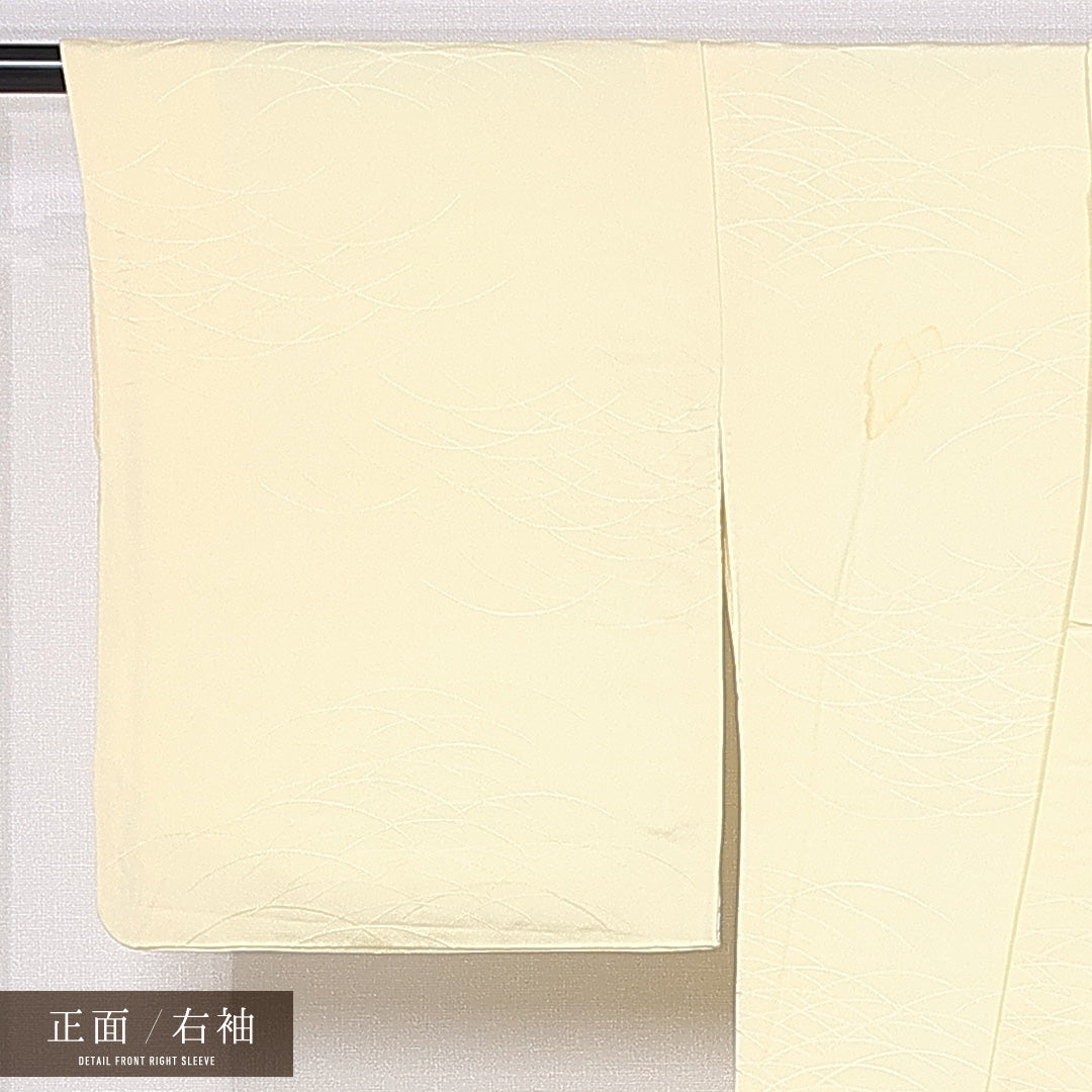 色無地 袷 身丈151cm 裄丈63cm 正絹 Bランク 紋意匠 (芝草) インフォーマル 広衿 Sサイズ 織り出し 無地 クリーム系 HP 1219-11191